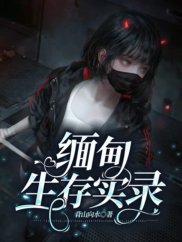 缅甸生存实录